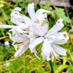 次回交換会は11/5(水)です！