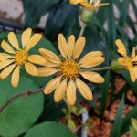 次回交換会は11/26(水)です！本年最後の交換会となります！